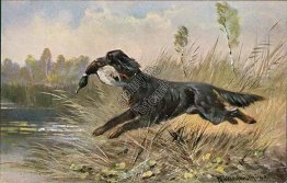 Hunting Dog, Goose - Early 1900's Postcard