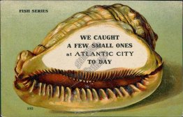 Fish Series, We Caught Small Ones, Atlantic City, NJ 1913 SHELL BORDER Postcard