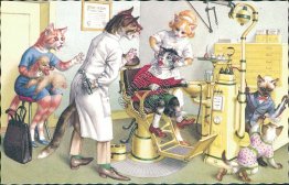 Dressed Cats, Dentist Office, Chair - Alfred Mainzer Postcard