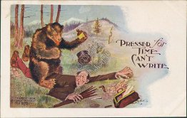 Grizzly Bear Attack, Pressed for Time Can't Write, 1906 H. H. Tammen Postcard