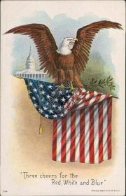 American Bald Eagle, US Flag, Capitol - Early 1900's Patriotic Embossed Postcard