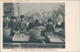 Children Selecting Fish, Marken, Netherlands - Holland American Line Postcard