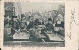 Children Selecting Fish, Marken, Netherlands - Holland American Line Postcard