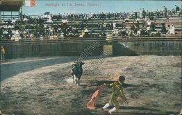 Bull Fighting, Tia Juana, Mexico - Early 1900's Mexican Postcard