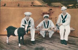 US Navy Sailors, Mascots Aboard US Warship, Goat, Cats - Early 1900's Postcard