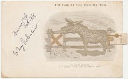 Donkey, Mule Pull Tail, Denver, CO 1908 Mechanical Postcard