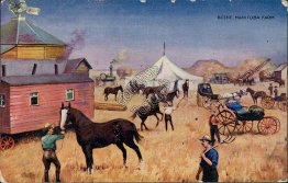 Scene in Manitoba Farm, Canada - Early 1900's Farming Postcard