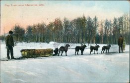 Dog Train, near Edmonton, AB Alberta, Canada 1909 Postcard