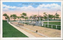 Greyhound Racing, FL Florida Postcard