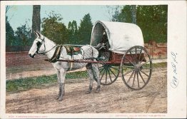 Virginia Vegetable Cart, VA Pre-1907 DETROIT PUBLISHING CO. Postcard