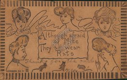 5 Women, Mice, Rats, Chicago, IL to Stuart, NE 1907 LEATHER Postcard