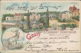 Dr. Lahmann Sanatorium, Weisser Hirsch, Dresden, Germany 1901 Postcard