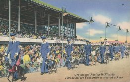 Greyhound Racing, Grandstand Parade, FL Florida Postcard