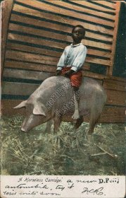 Boy Riding Pig, A Horseless Carriage 1906 Black Americana Postcard