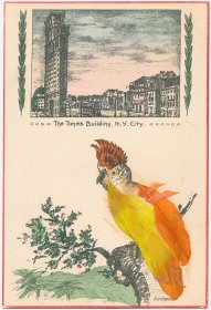 Times Building, New York City, NY Parrot w/ Real Feathers Handmade Postcard