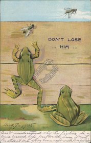 Two Frogs, Fruit Fly - Don't Lose Him - 1905 German Postcard