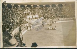 Bull Fight, Bullfighting, San Roque, Spain - Early 1900's Real Photo RP Postcard