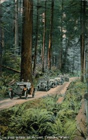 Cars on Road to Mount Tacoma, WA Washington - Early 1900's Postcard