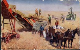 Threshing Outfit, Manitoba, Canada - Early 1900's Postcard