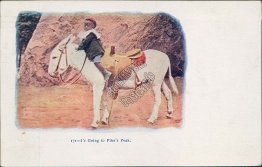Boy Riding Mule, Pike's Peak, CO Colorado 1907 Black Americana Postcard