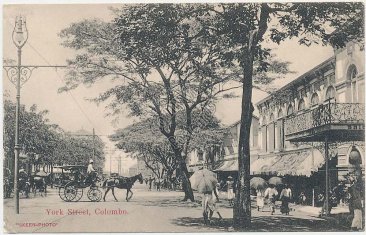 York Street, Colombo, Ceylon Sri Lanka - Early 1900's Postcard