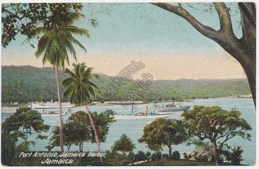 Port Antonio, Jamaica Harbor, Jamaica Pre-1907 Postcard