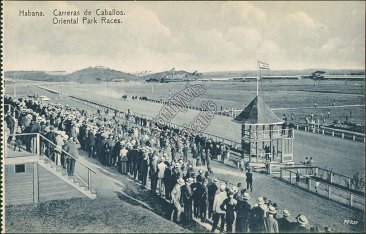 Horse Races at Oriental Park, Havana, Cuba - Early 1900's Postcard