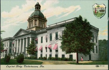 Capitol, Coat of Arms, Tallahassee, FL Florida - Early 1900's Postcard