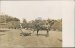 Horse Drawn Soil Tiller - Early 1900's Real Photo RP Tilling Postcard